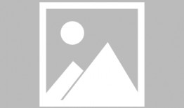 番茄吃瓜网,揭秘娱乐圈幕后故事，带你领略明星真实生活